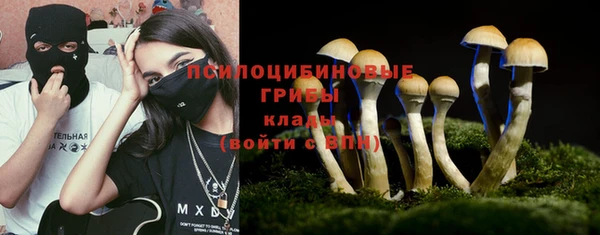 не бодяженный Михайлов