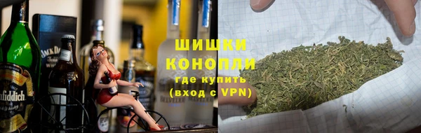 шишки Мегион
