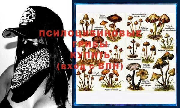 прущая мука Михайловск