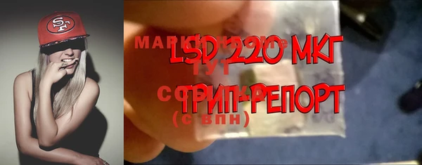 шишки Мегион