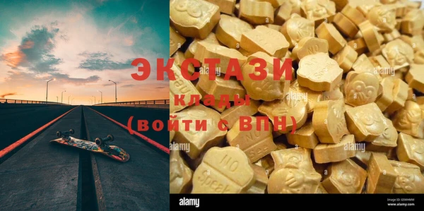 шишки Мегион