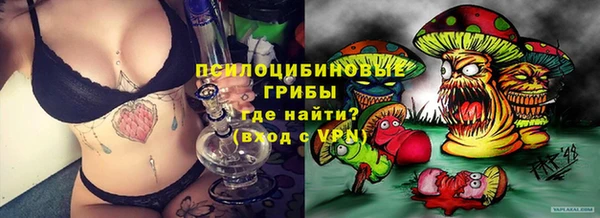 шишки Мегион