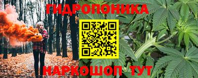 шишки Бугуруслан