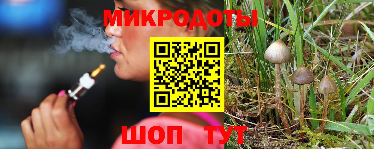 Псилоцибиновые грибы Magic Shrooms  Псилоцибиновые грибы Magic Shrooms  цены   Электросталь  Вход с VPN 