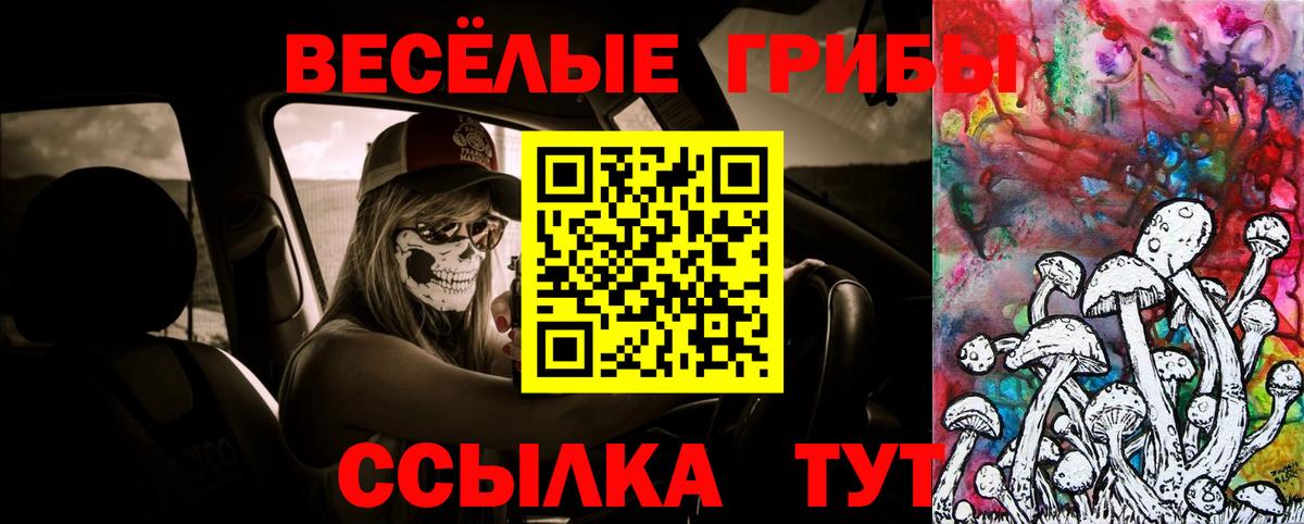 Псилоцибиновые грибы прущие грибы Электросталь